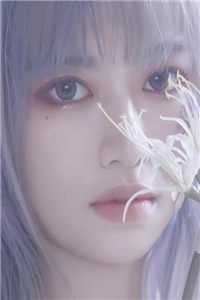 昭昭孤行小说结局