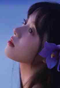 暮云绕孤山试读