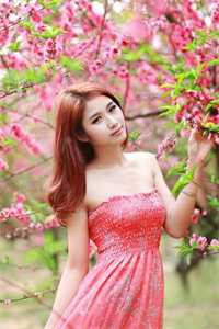 不喜春来过，逝去人不知完整文集阅读