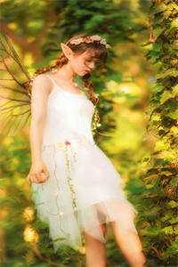 春吻寒木，只花破雪曲令姿晋丞垣小说结局