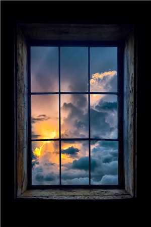 重生后我不做舔狗，白月光她慌了后续+结局