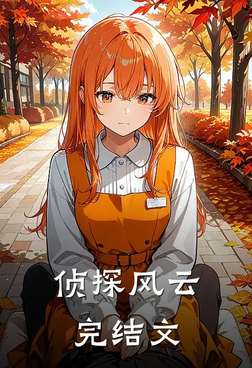 侦探风云完结文
