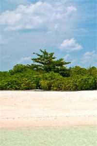 许你一场流星愿篇章