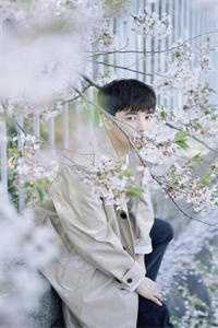 压寨太子妃全文免费