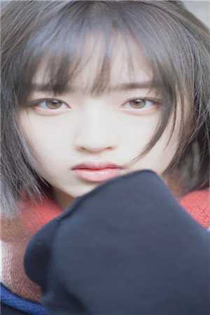 予风予月不予你陆烬川烬川全文+免费