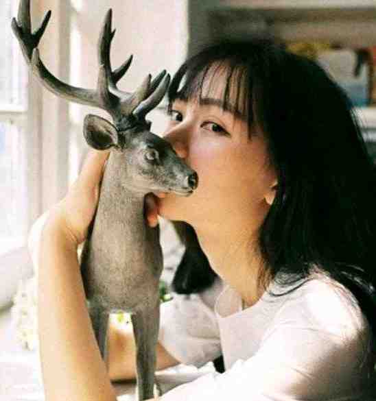 海上清歌月下寒短篇小说阅读