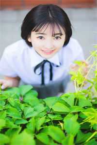 那年所愿空如梦结局+番外