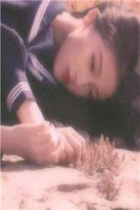 南鸿落雪故梦晚完整版