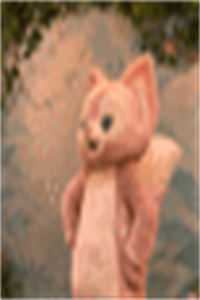 闪送员齐琳罗岳后续+全文