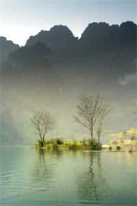 因为一块手表，我退婚了小说全文免费