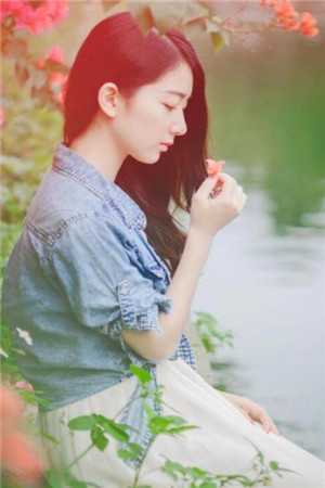 爱如朝露，散若尘风优质全文阅读