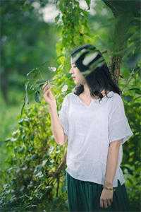 风过旧港，岁月无归目录