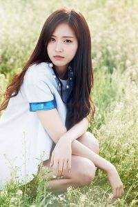 昨夜风雨那时晴热门小说