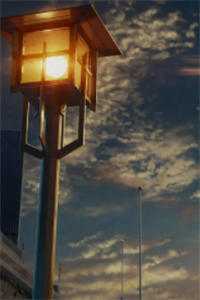 真情躲不开！陛下天天求偶遇萧彻沈莞小说结局