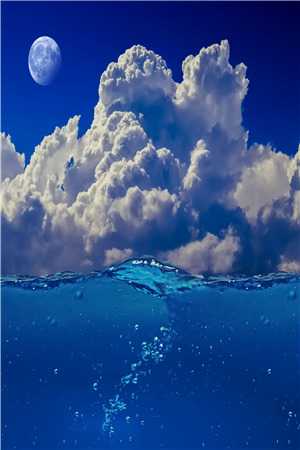 她也曾随风而来阮南州沈司音结局+番外