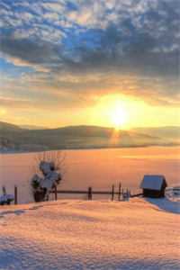 却道海棠依旧否已完结