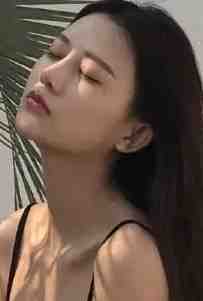 窗中窥伤尘似水全文免费