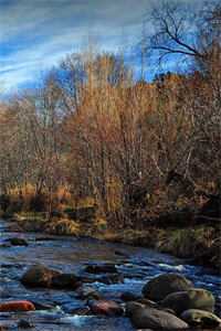 心沉秋水，晚风知意全本