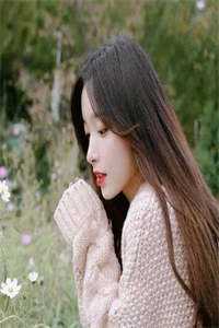 假如我不曾爱过你在线阅读