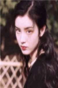 时雁不渡春山关全章节阅读