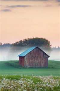 重回新年，我开直播暴打婆婆程婷张耀无删减全文