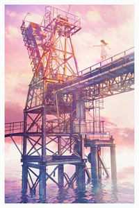 结婚七年的丈夫全文无删减