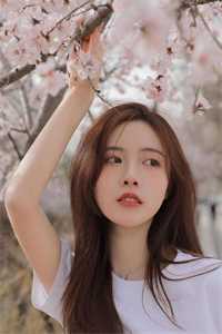 南风未解意无删减+无广告