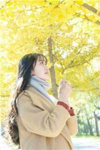 心如枯木不等春秋后续