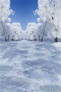 老公逃婚三年后，回来见我孕肚知乎