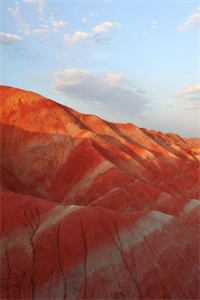 扶摇鹤南飞小说全文免费