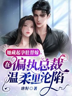 蝉鸣止于初雪番外