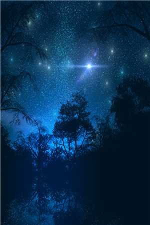 真心散于那年冬全文阅读最新