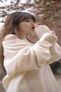 北城再无红颜笑在线