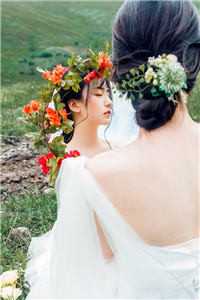 温瓷照星影全文章节