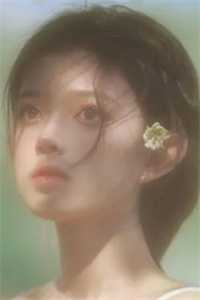 花灯如旧人已非全集