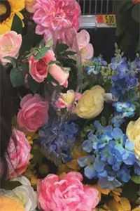 一树梨花压海棠全篇