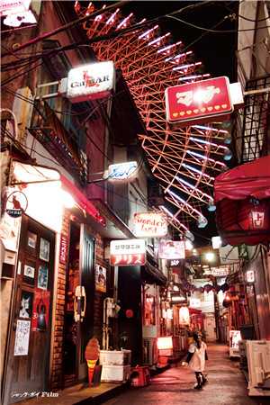 那年春天，海棠花未眠最新