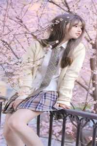 那年春天，海棠花未眠无删减+无广告