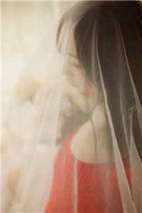 山鸟与鱼不同路笔趣阁