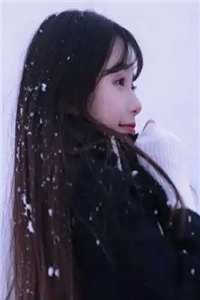 此后春雪不相逢推荐
