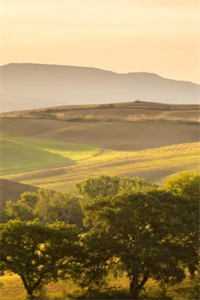 “无人岛”三年，我真的学乖了优质全文阅读