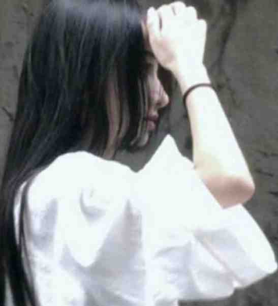 青瓷为证我未归沈观洲姜书音全文免费