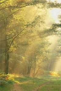 未允余生几度怨热门推荐