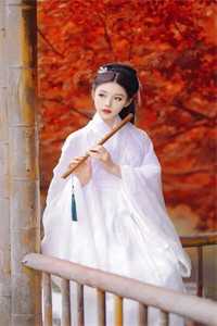 红楼：曹贼番外