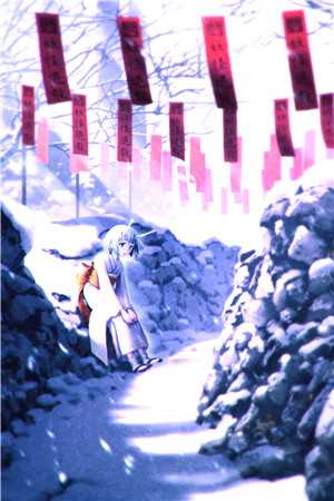 南枝向暖春意晚广告+结局