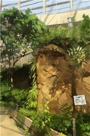 植物说话？1999我当乡野神医篇章