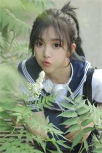 只愿浮生共清欢爆火全网