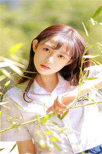 枯藤月，何时归完结