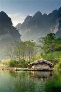 从此以后再无心动最新