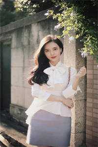 红楼：曹贼无广告